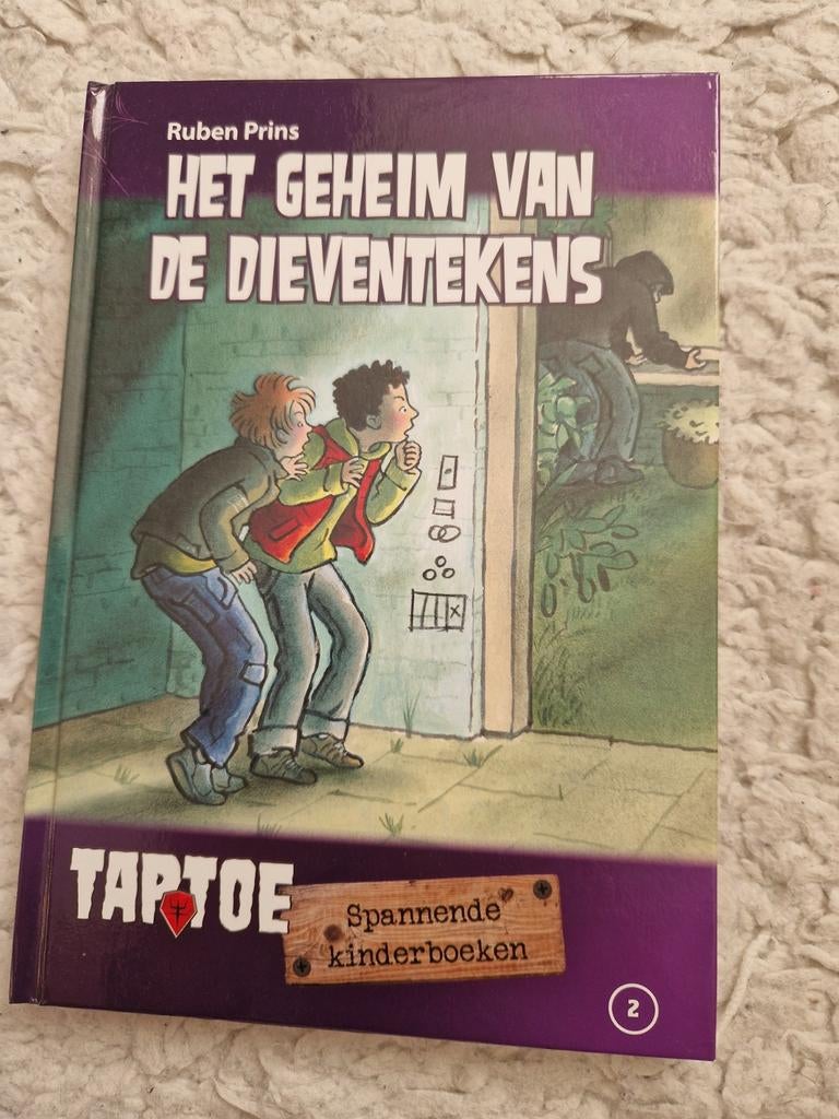 Het Geheim van de Dieventekens - Ruben Prins (Taptoe), Ophalen of Verzenden, Zo goed als nieuw, Ruben Prins, Fictie algemeen