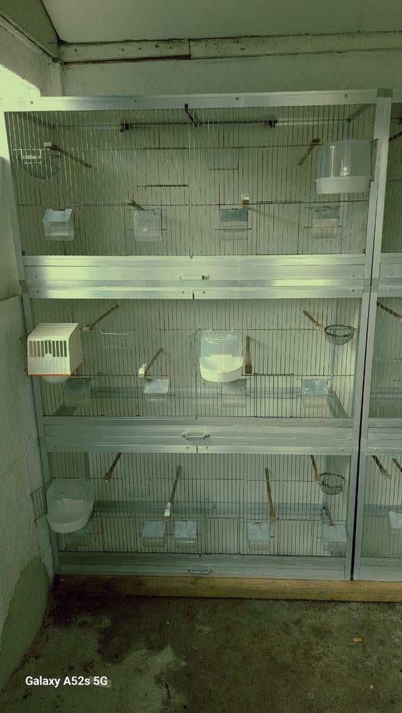 6 aluminium met trespa broedkooien met verlichting, Dieren en Toebehoren, Vogels | Hokken en Kooien, Ophalen, Aluminium, Broedkooi of Kweekkooi