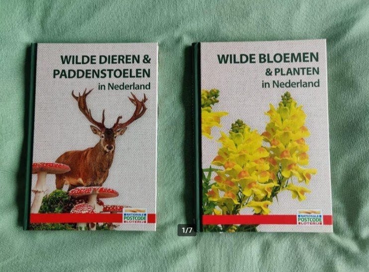 Wilde dieren & Paddenstoelen/Bloemen & planten in Nederland, Ophalen of Verzenden, Nieuw, Overige onderwerpen, Geschikt voor kinderen