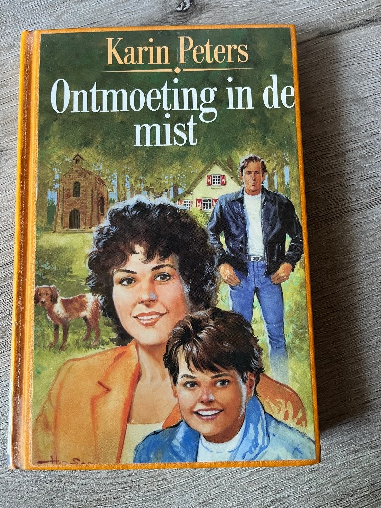 Boek Ontmoeting in de mist, Ophalen of Verzenden, Gelezen, Karin Peters, Nederland