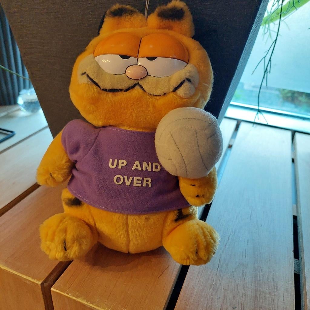 Garfield, Verzamelen, Ophalen of Verzenden