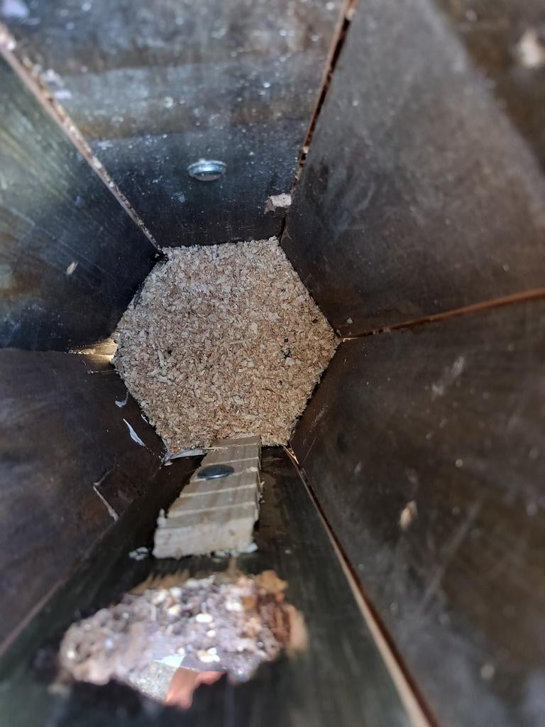 Grote Bonte Specht nestkast, Ophalen, Nieuw