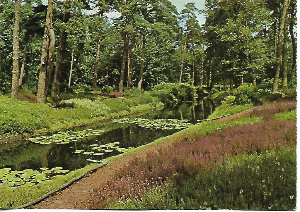 Driebergen- -Heidetuin., Verzenden, 1960 tot 1980, Gelopen, Utrecht