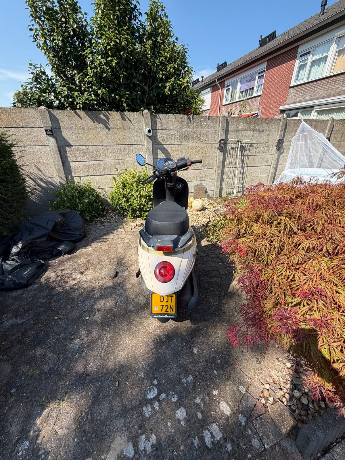 Betrouwbare Senzo scooter - Weinig kilometers, snelle optrek, Ophalen, Gebruikt, Benzine, Overige merken