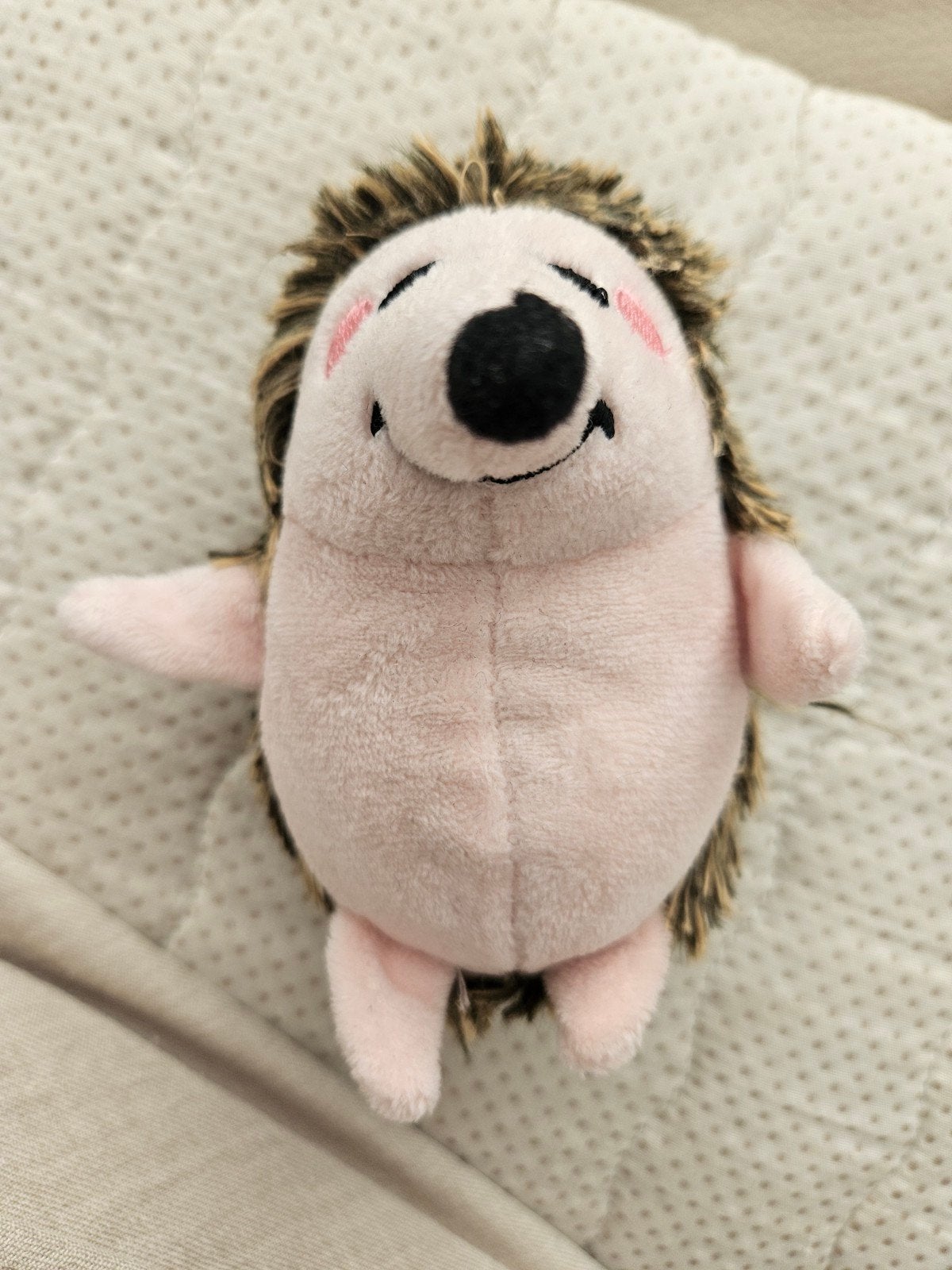 Egel knuffel sleutelhanger, Kinderen en Baby's, Gebruikt, Overige merken, Overige karakters, Overige typen