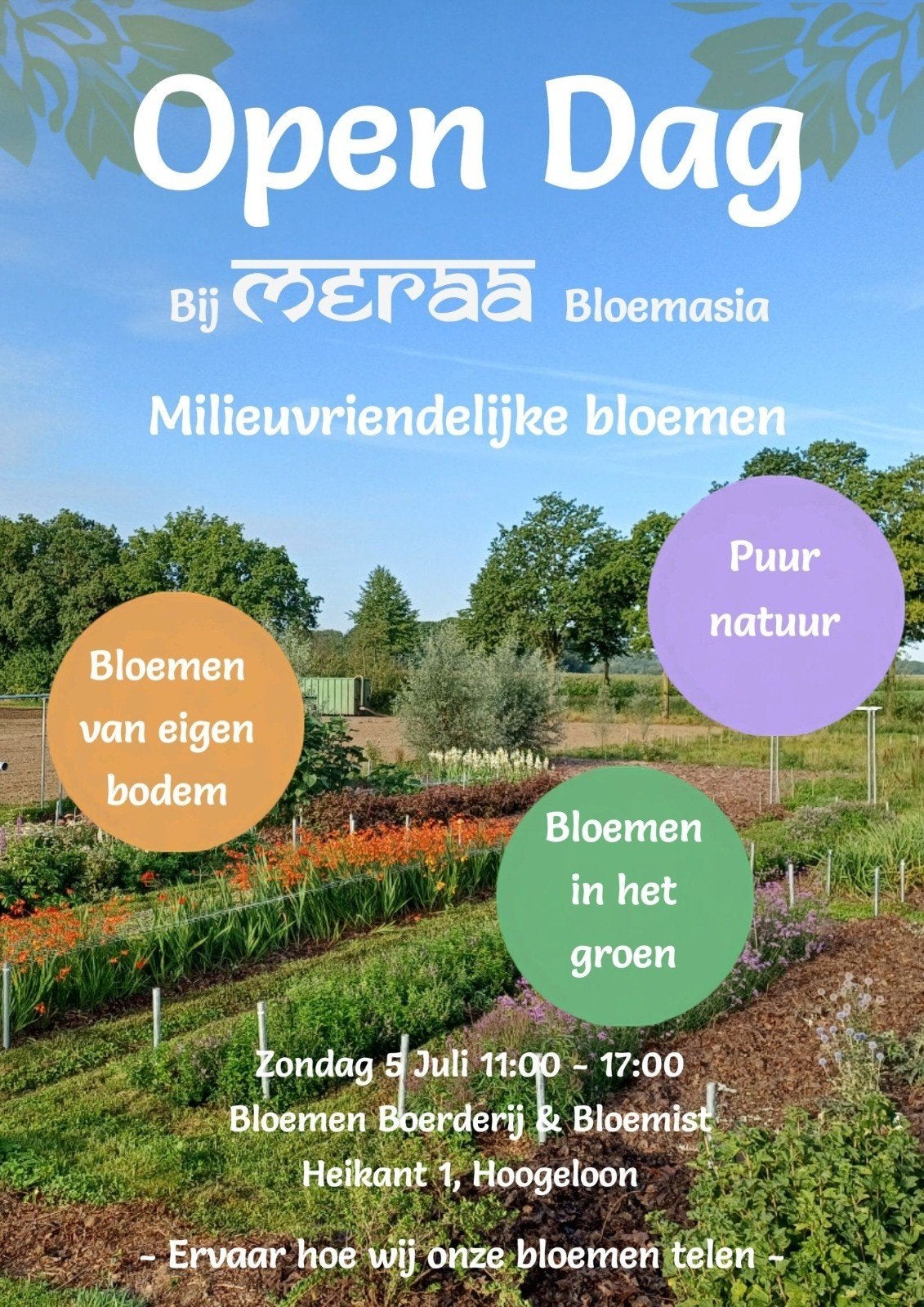 Open dag, Ophalen, Nieuw