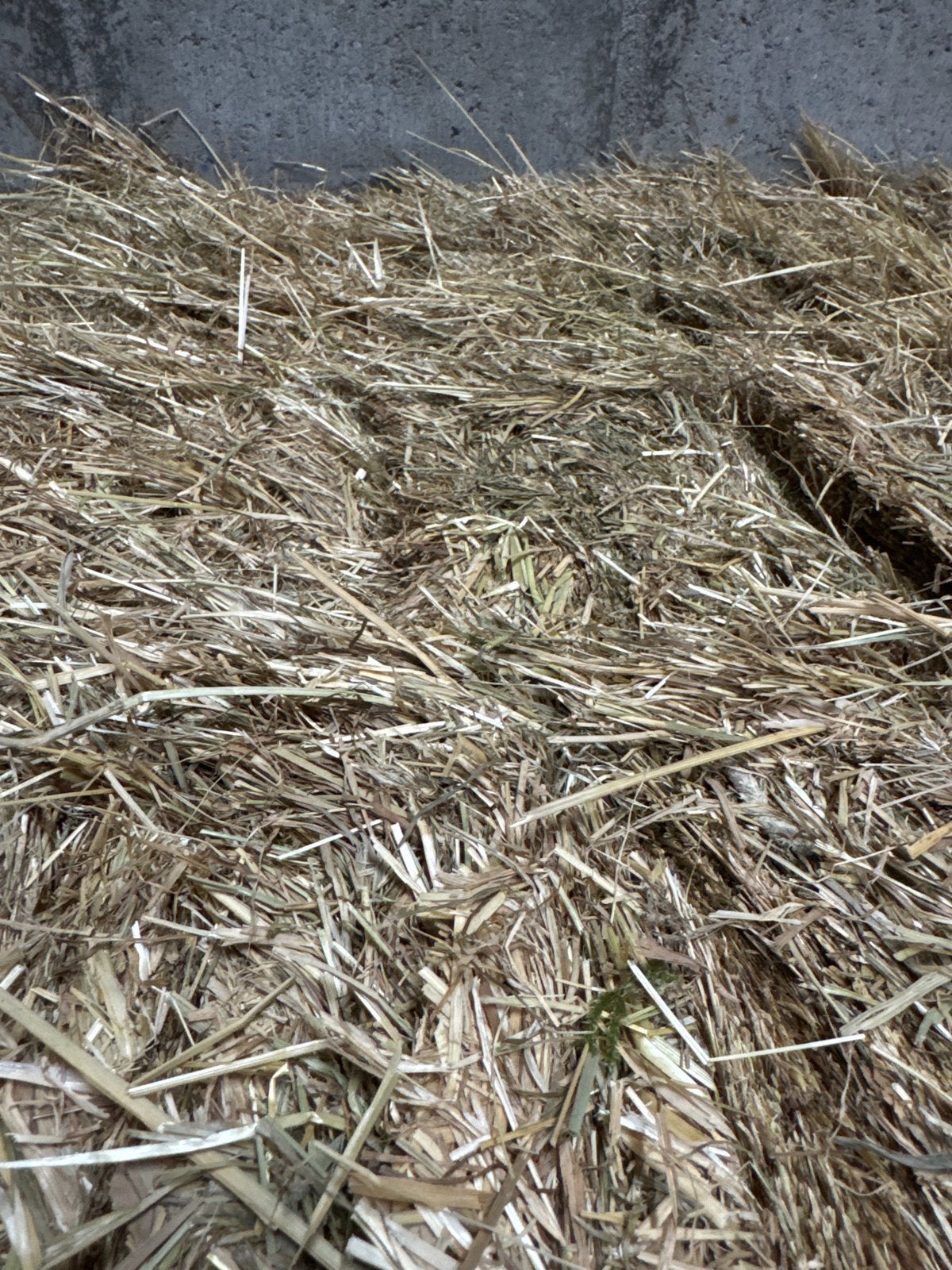 450 kg weidehooi 2025 - stof- en onkruidvrij voor paarden, Ophalen