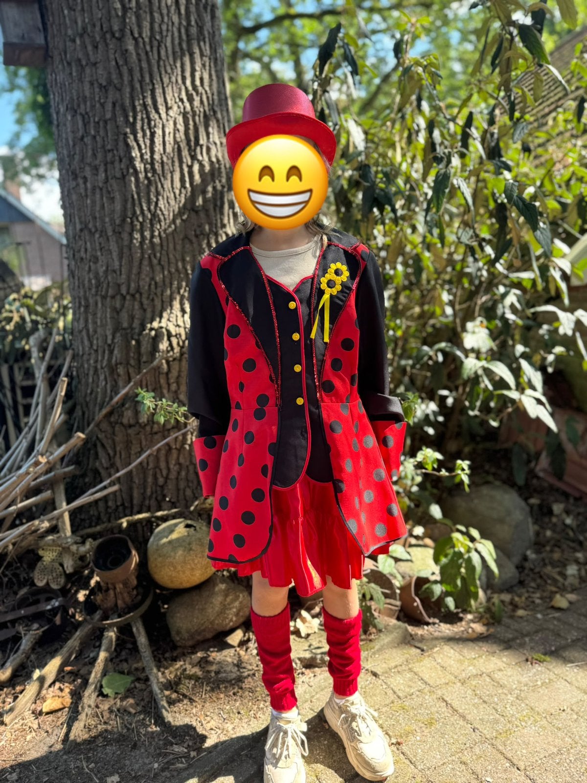 Lieveheerstbeestjes loopgroep carnaval dieren, Kleding | Dames, Ophalen of Verzenden, Zo goed als nieuw, Maat 34 (XS) of kleiner