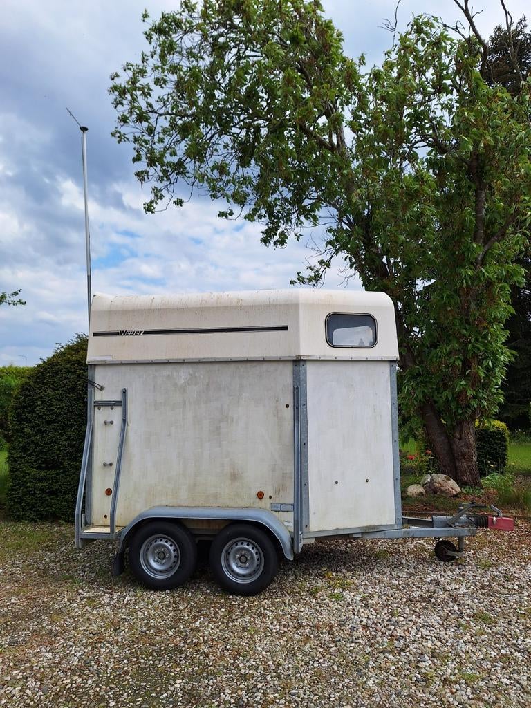 Weijer 1½ paards trailer opknapper, Dieren en Toebehoren, Paarden en Pony's | Overige Paardenspullen, Ophalen, Gebruikt