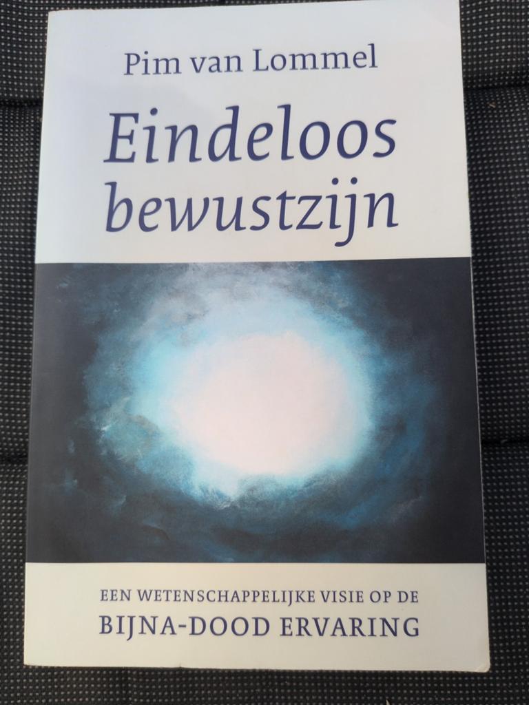 Pim van Lommel - Eindeloos bewustzijn, Ophalen of Verzenden, Zo goed als nieuw, Pim van Lommel