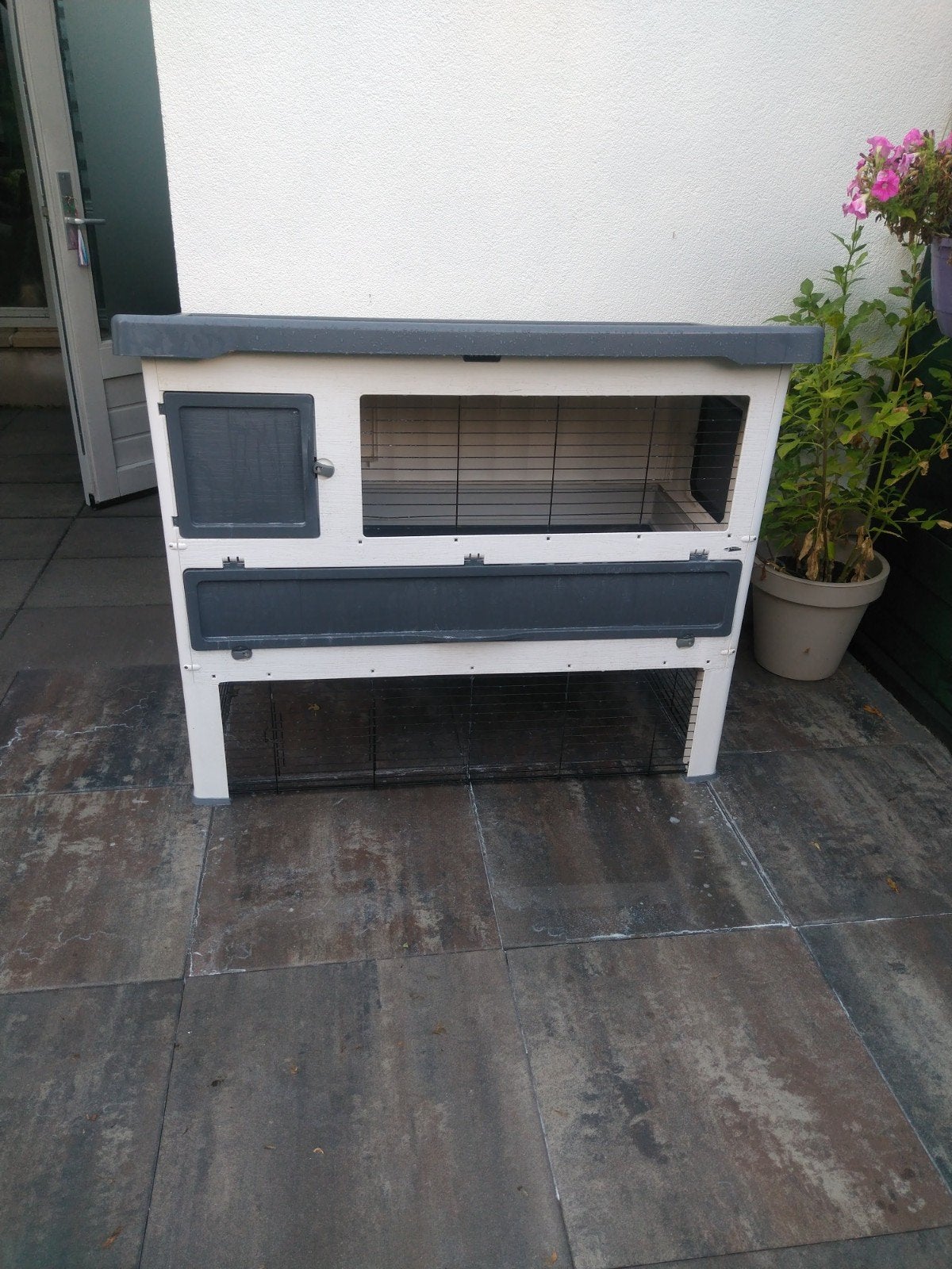 ferplast konijnen , cavia hok, Ophalen, 90 cm of meer, Konijn, Hok