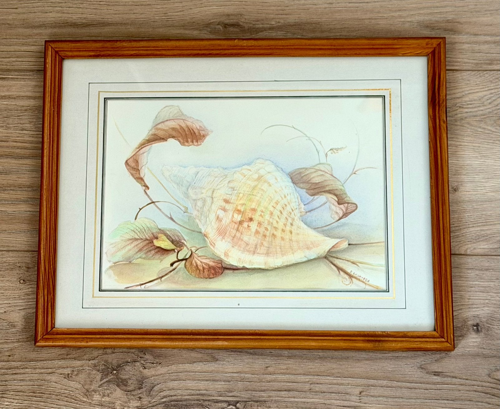 Originele ingelijste aquarel – Schelp – Gesigneerd, Ophalen, Realistisch, Stilleven, Aquarel