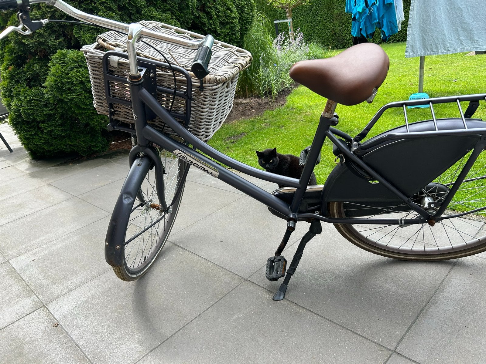 26 inch fiets meisjesfiets damesfiets kinderfiets, Fietsen en Brommers, Fietsen | Dames | Damesfietsen, Terugtraprem, Gebruikt