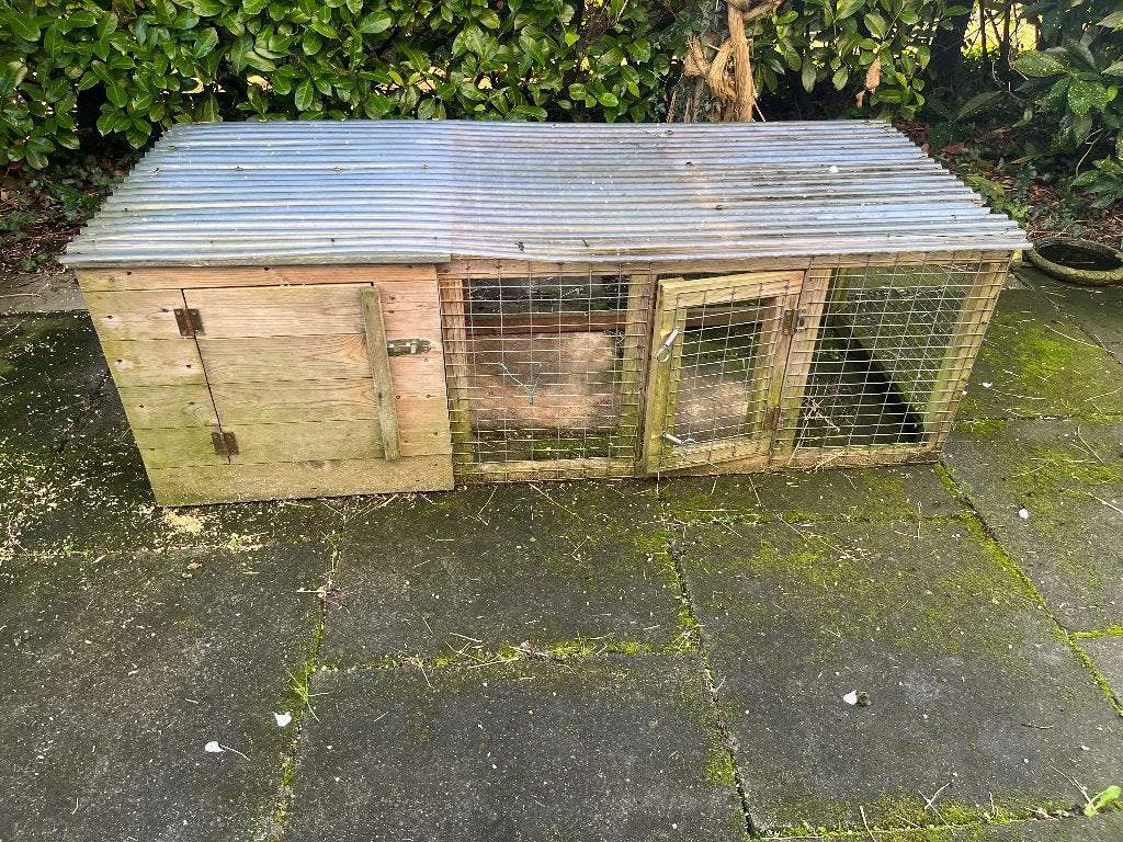 Cavia/konijn buiten hok en ren, Dieren en Toebehoren, Cavia, Hok, Ophalen, Minder dan 60 cm