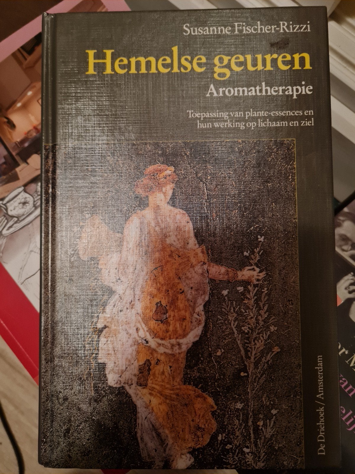 S. Fischer-Rizzi - Hemelse geuren, Sociale wetenschap, Ophalen of Verzenden, S. Fischer-Rizzi, Zo goed als nieuw