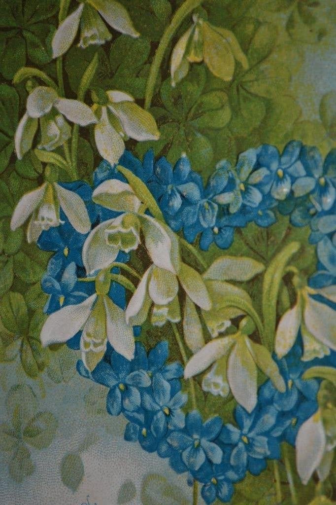 amerika 1908 relief sneeuwklokjes vergeetmijnietjes, Verzamelen, Ophalen of Verzenden, Voor 1920, Gelopen, Sterren en Beroemdheden