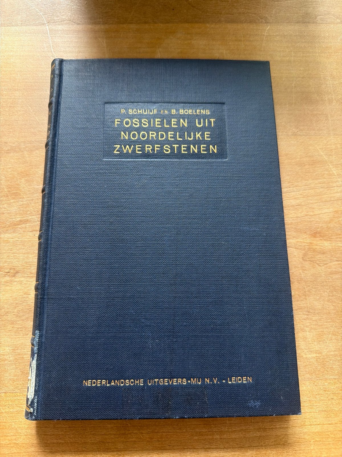Fossielen uit Noordelijke Zwerfstenen - P. Schuijf & B. Boel, Boeken, Ophalen of Verzenden, Gelezen, Natuurwetenschap