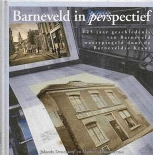 Jolanda Denekamp Barneveld in perspectief, Ophalen of Verzenden, Zo goed als nieuw