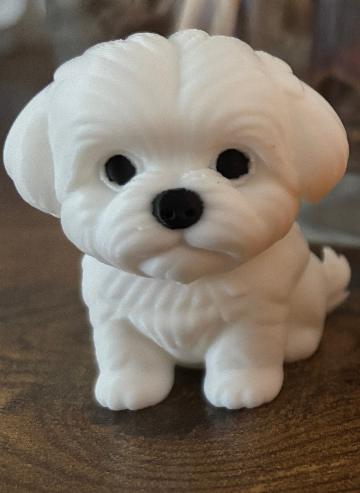 3D print Maltezer pup, Ophalen, Nieuw, Steen, Aardewerk of Keramiek, Dier