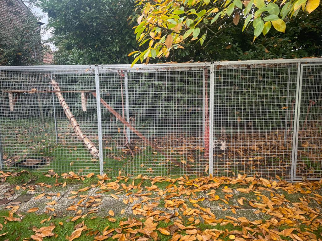 Katten/hondenren, Ophalen, Zo goed als nieuw