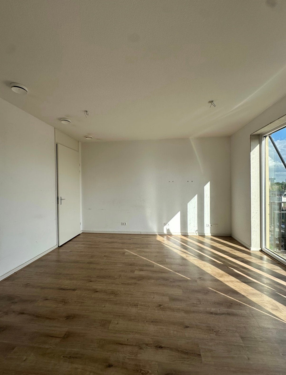 Schilder - Laminaat - Klusjesman / Den Haag Delft Amsterdam, Vanaf 10 jaar, Overige vormen