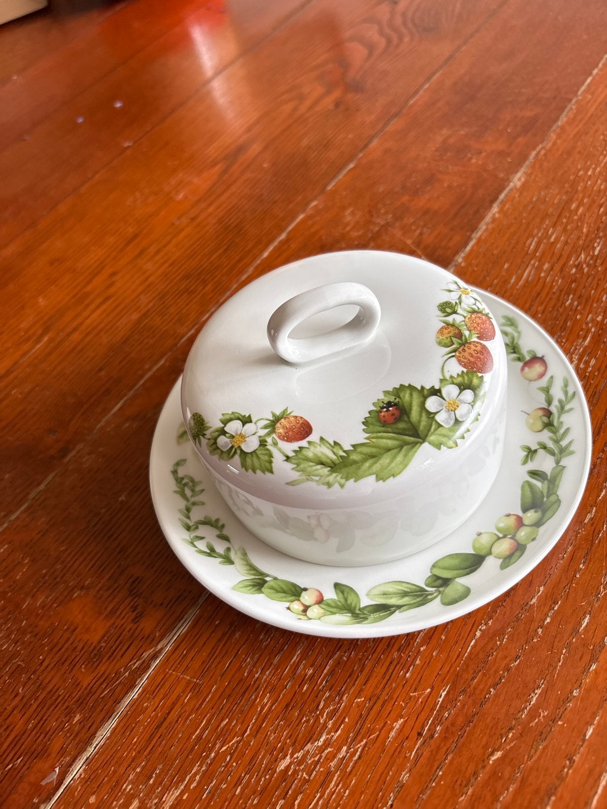 Wedgwood Libelle Marjolein Bastin botervloot, Ophalen of Verzenden, Zo goed als nieuw, Wedgwood, Porselein