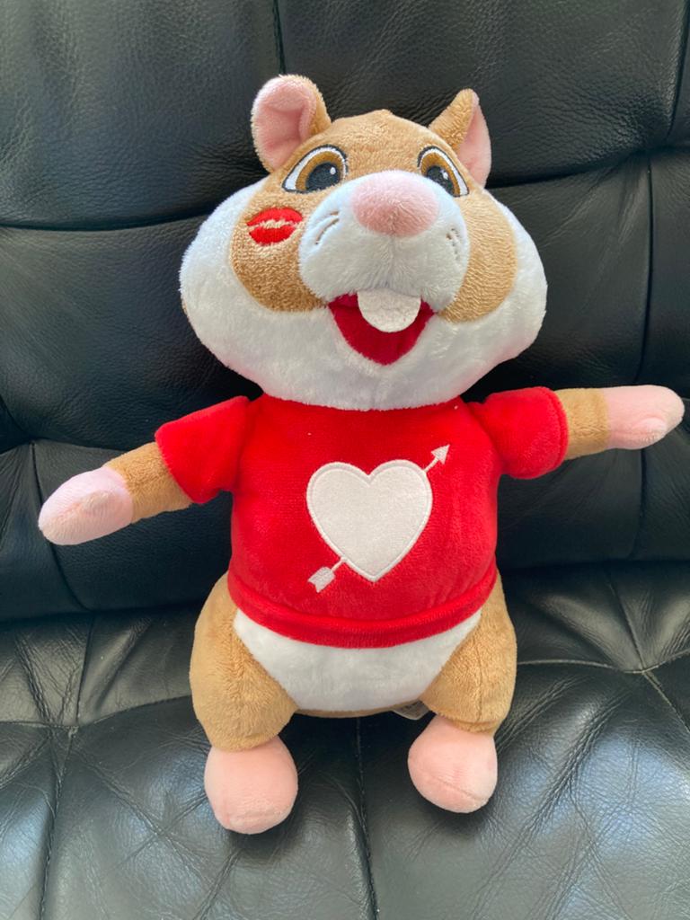 Ah hamster met hart trui, Ophalen of Verzenden, Zo goed als nieuw, Overige typen