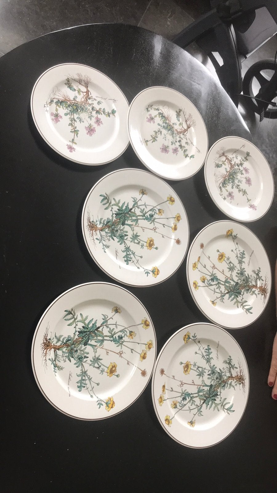 villeroy & boch dinerborden 4 stuks, anthemis, Gebruikt, Ophalen of Verzenden, Bord(en), Overige stijlen