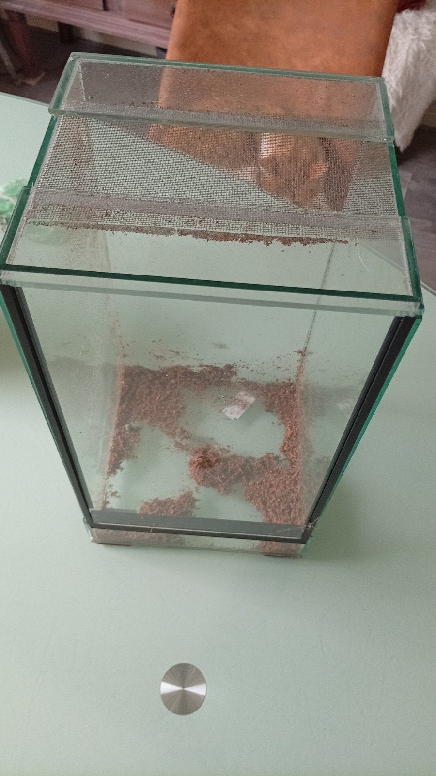 Terrarium en toebehoren, Ophalen