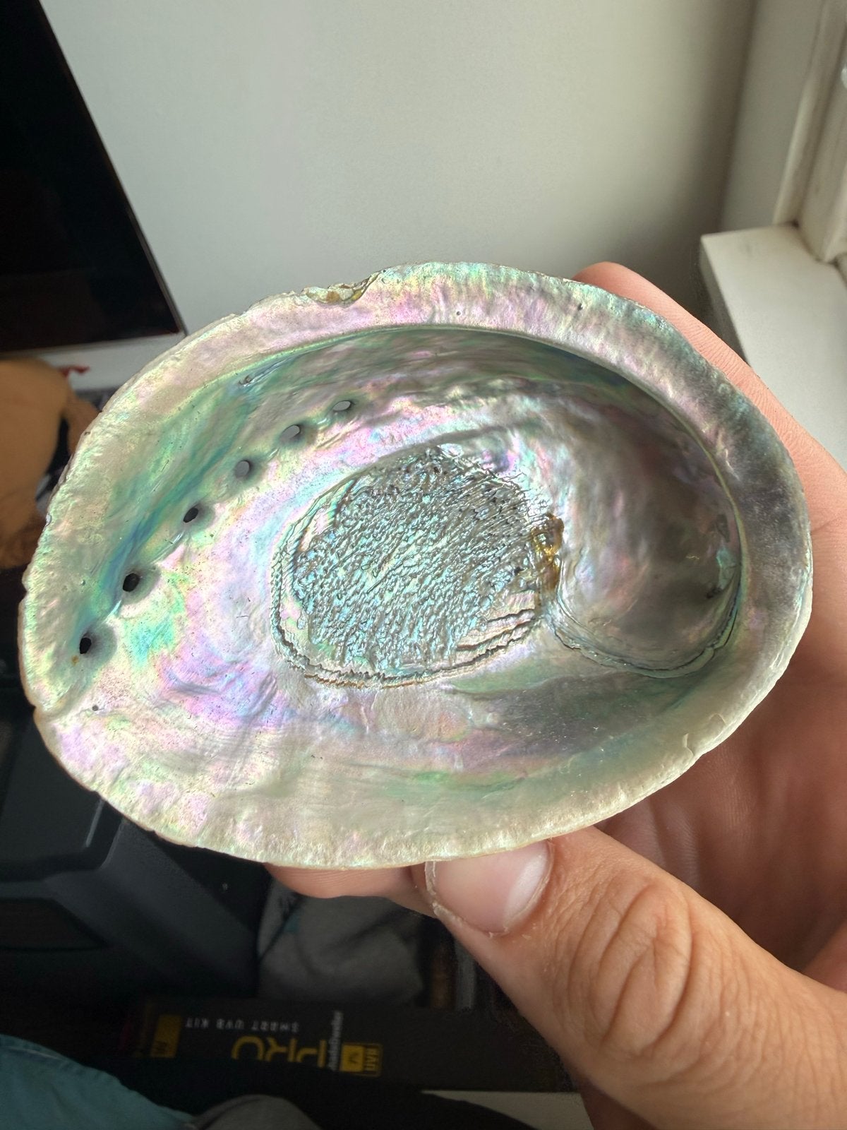 Prachtige Abalone Schelp, Overige materialen, Gebruikt, Schaal, Ophalen of Verzenden
