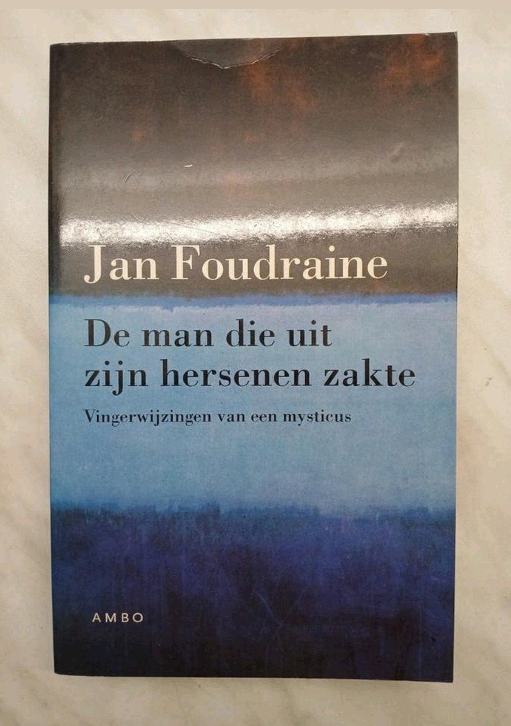 Jan Foudraine - De man die uit zijn hersenen zakte zgan vast, Ophalen of Verzenden, Zo goed als nieuw, Jan Foudraine, Nederland