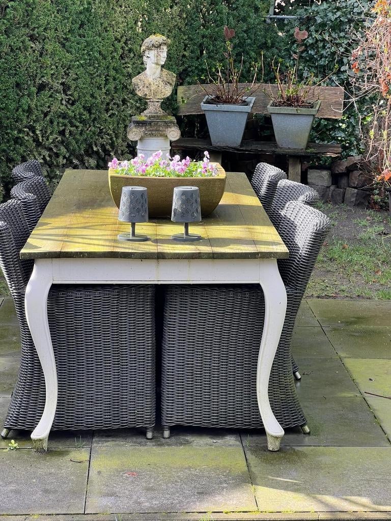 Stijlvolle tuinset met 6 wicker stoelen en houten tafel, Tuin en Terras, Tuinsets en Loungesets, Gebruikt, Tuinset, Hout, 6 zitplaatsen