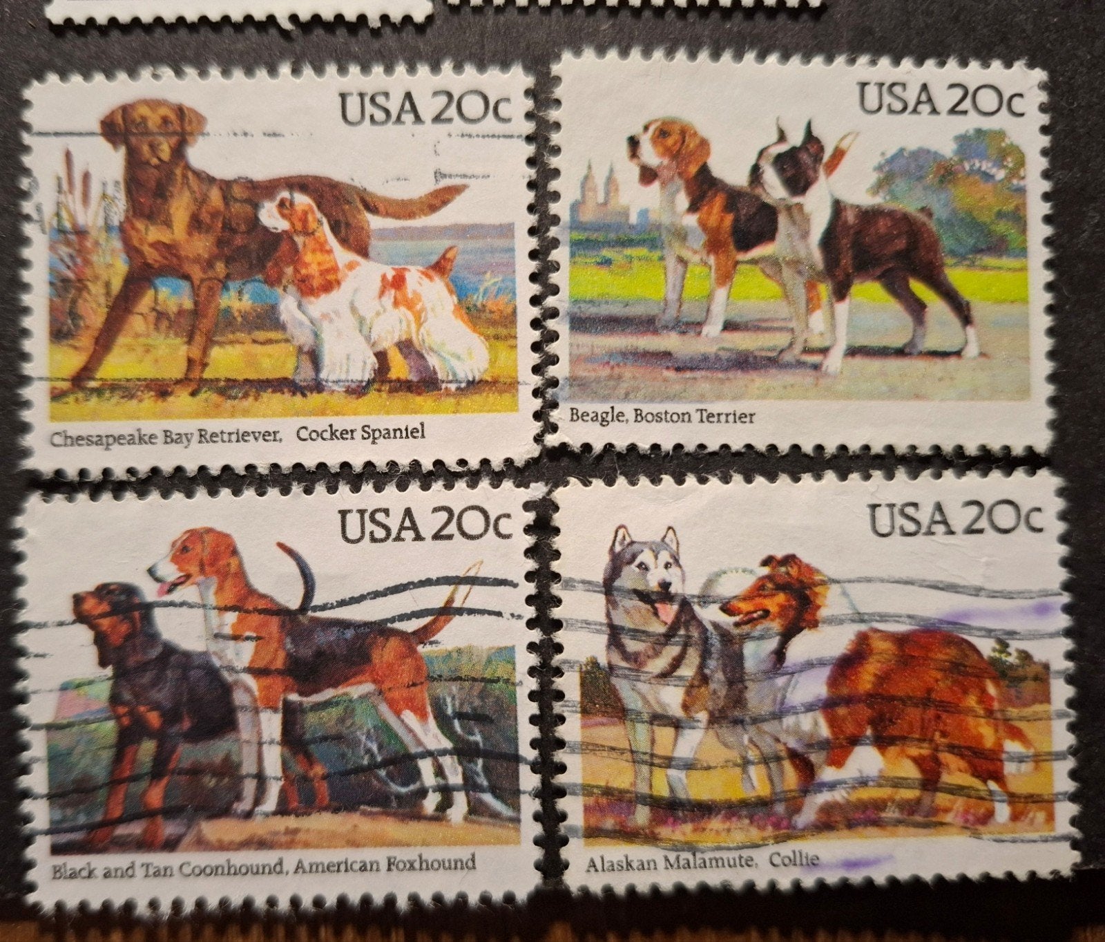Usa 515 honden, Ophalen of Verzenden, Noord-Amerika