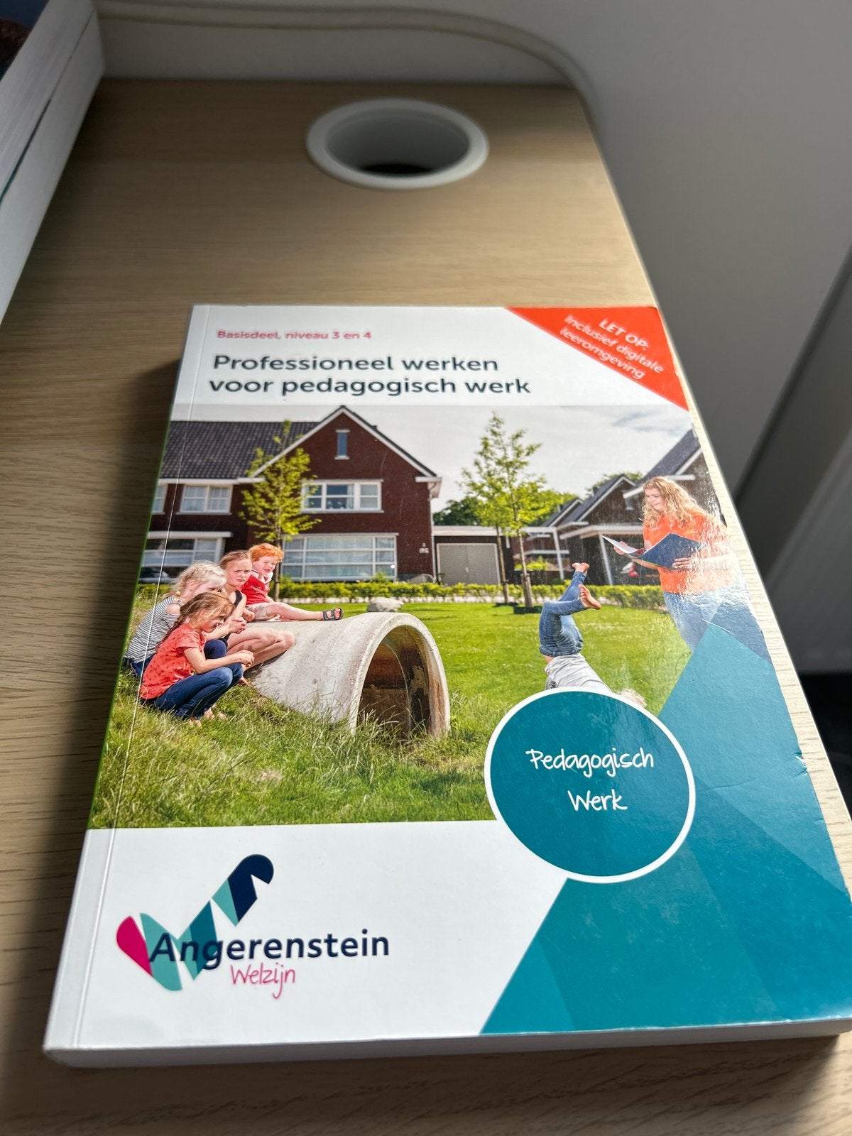 Professioneel werken voor pedagogisch werk - Angerenstein, Ophalen of Verzenden, Gamma, Zo goed als nieuw, MBO