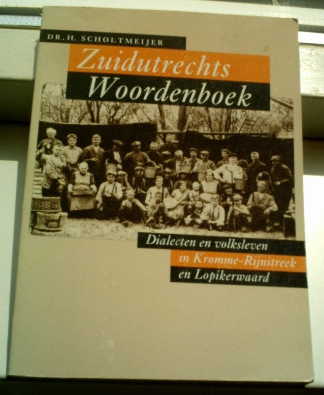 Zuidutrechts Woordenboek(Dr. H. Scholtmeijer, 9053450297)., Boeken, Ophalen of Verzenden, Zo goed als nieuw