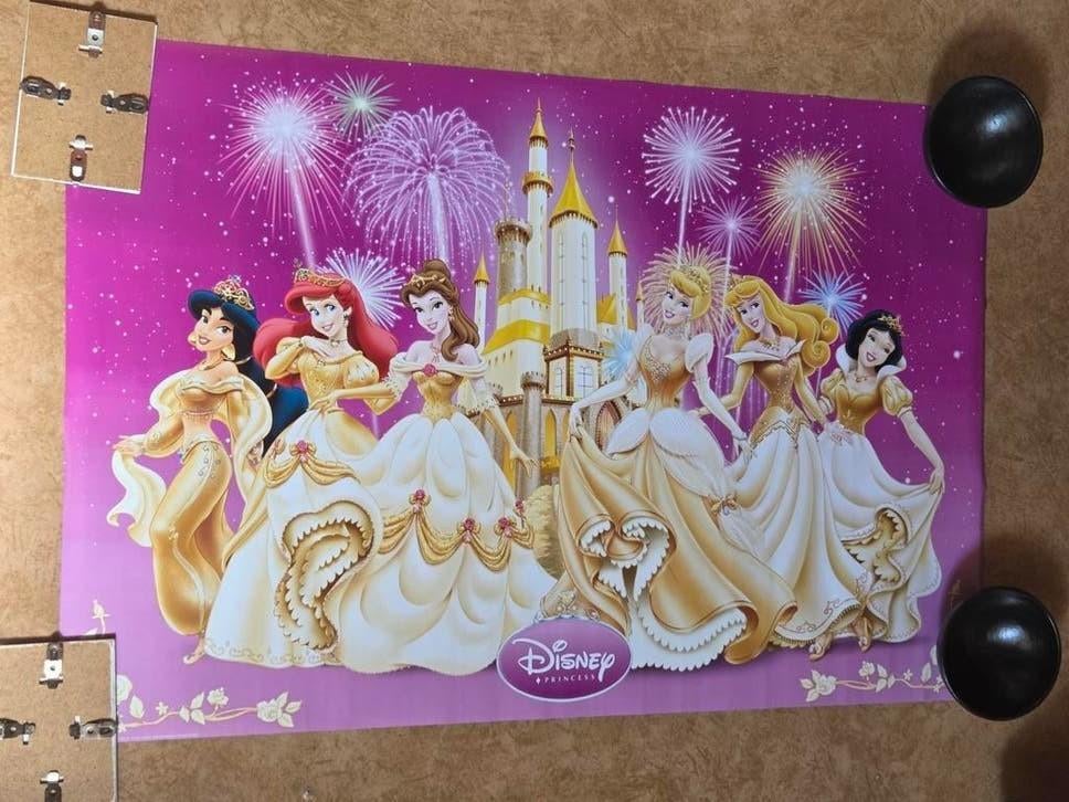 Disney Prinsessen Poster - 61x91cm, Ophalen of Verzenden, Plaatje of Poster