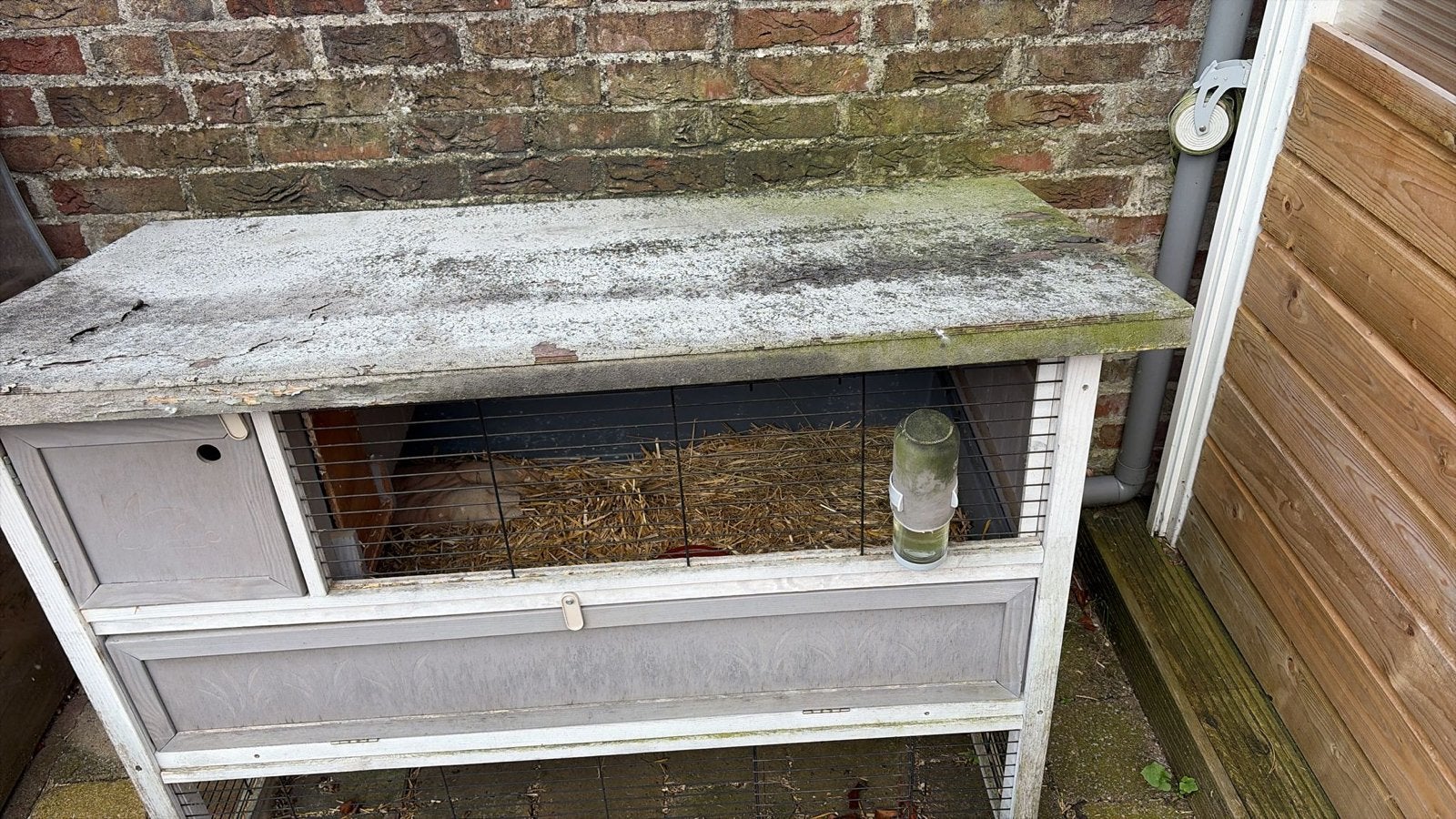 Konijnen/cavia hok, Dieren en Toebehoren, Knaagdieren en Konijnen | Hokken en Kooien, Ophalen, Gebruikt, Overige typen