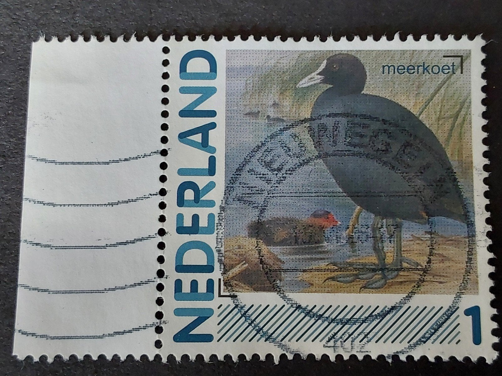 Nederland - Persoonlijke Zegel - Meerkoet, Ophalen