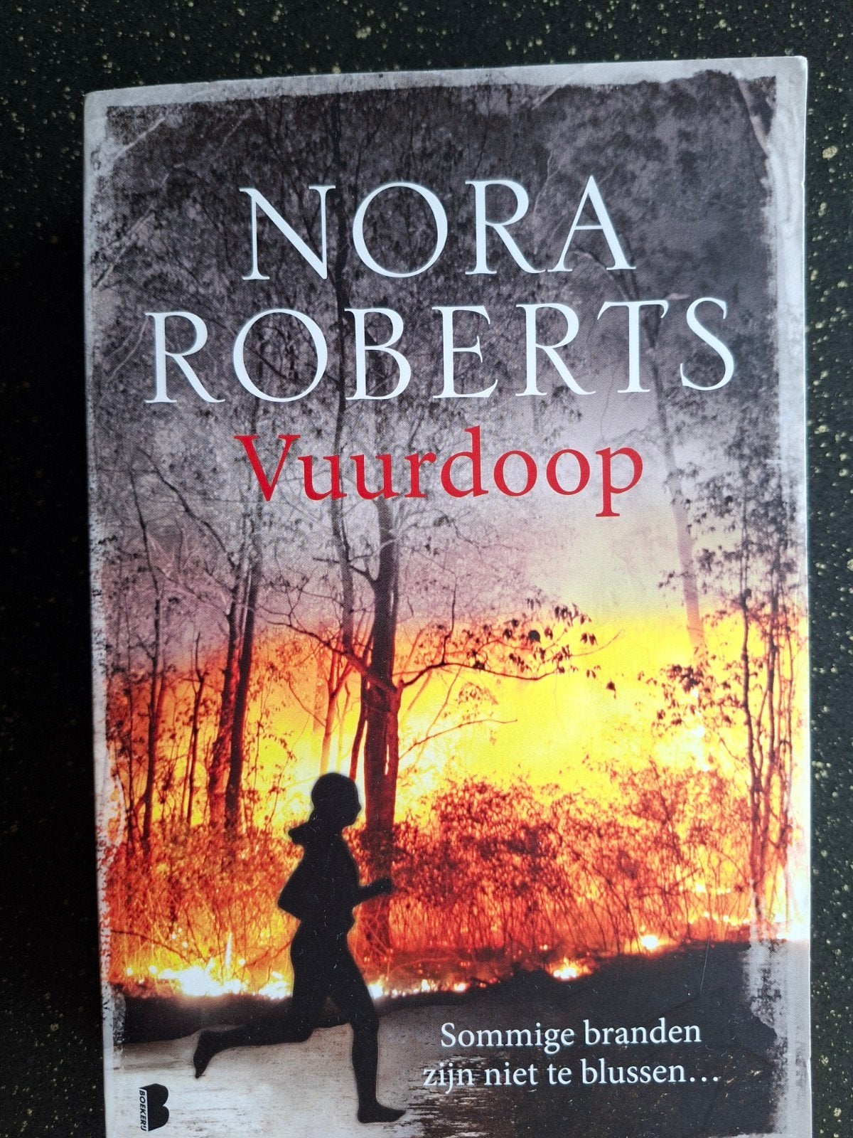 Nora Roberts - Vuurdoop (Paperback), Boeken, Romans, Zo goed als nieuw, Europa overig, Ophalen of Verzenden