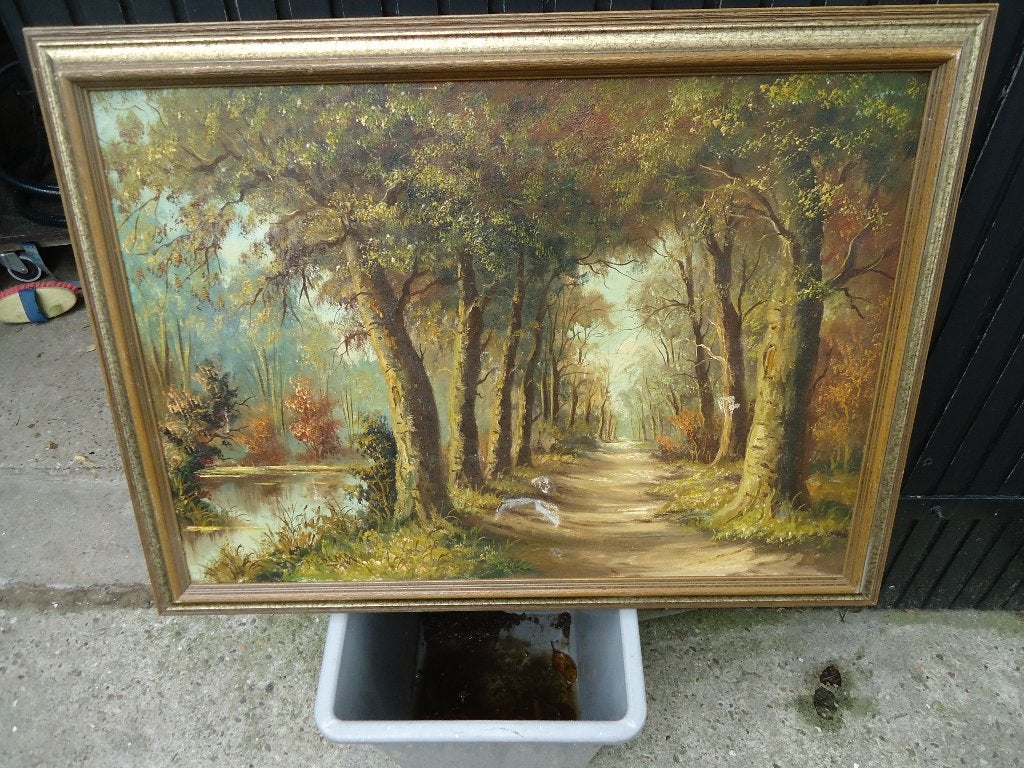 Medema olieverf schilderij, Ophalen, Doek, Landschap, Olieverf