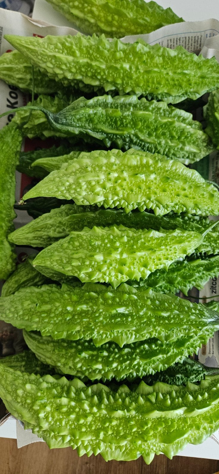 karela / bittermeloen / kudret narı, Ophalen, Volle zon