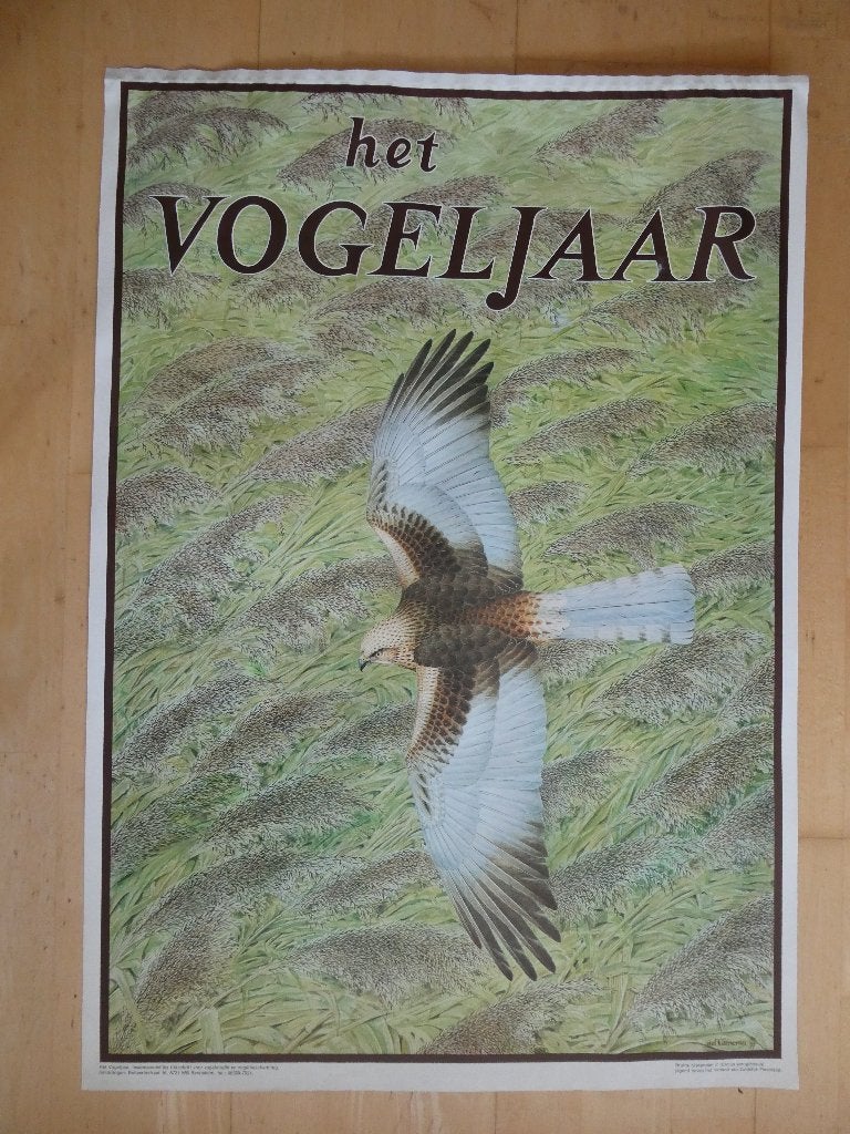 poster bruine kiekendief, Het Vogeljaar 1977, Rechthoekig Staand, Deurposter of groter, Ophalen of Verzenden, Zo goed als nieuw