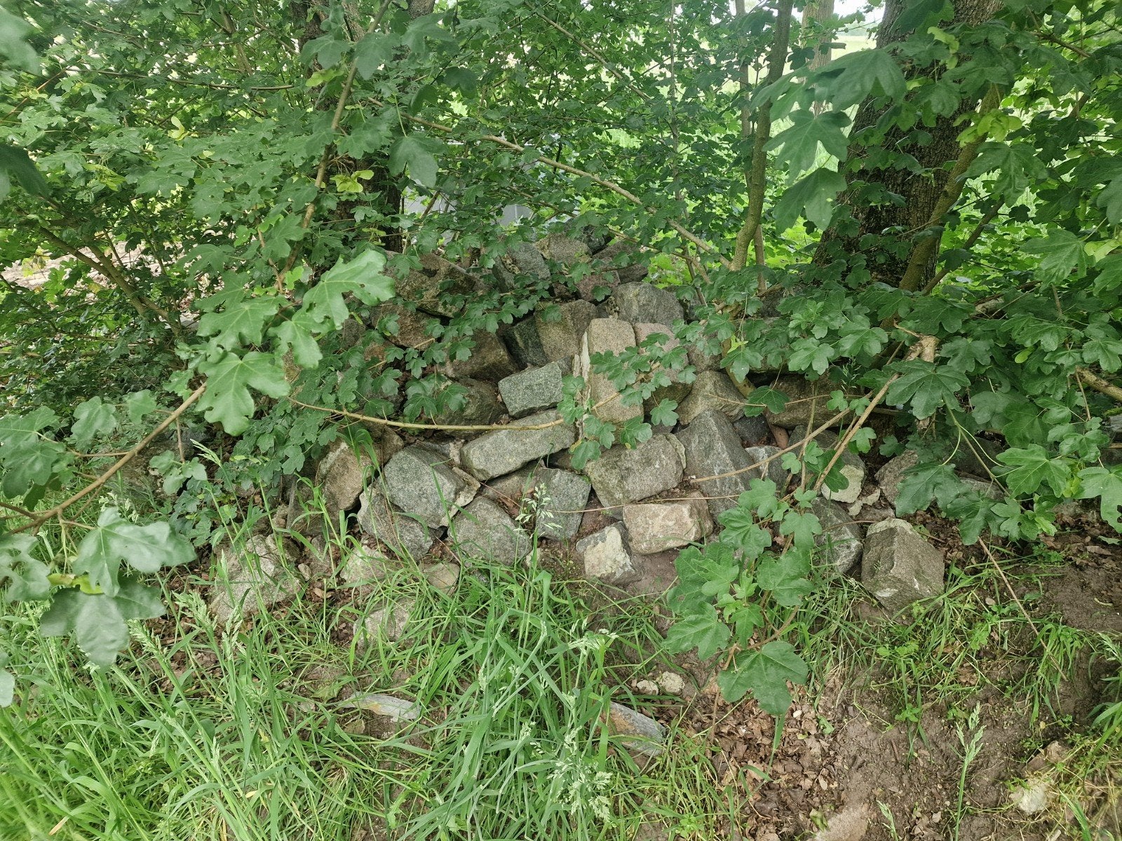 Gratis: Stapel stenen,  basalt? Ophalen in Eibergen, Ophalen, Beton, Klinkers