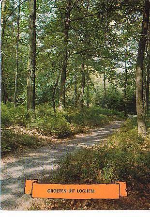 Ansichtkaart	Lochem	Bospad, Verzamelen, Verzenden, 1960 tot 1980, Gelopen, Gelderland