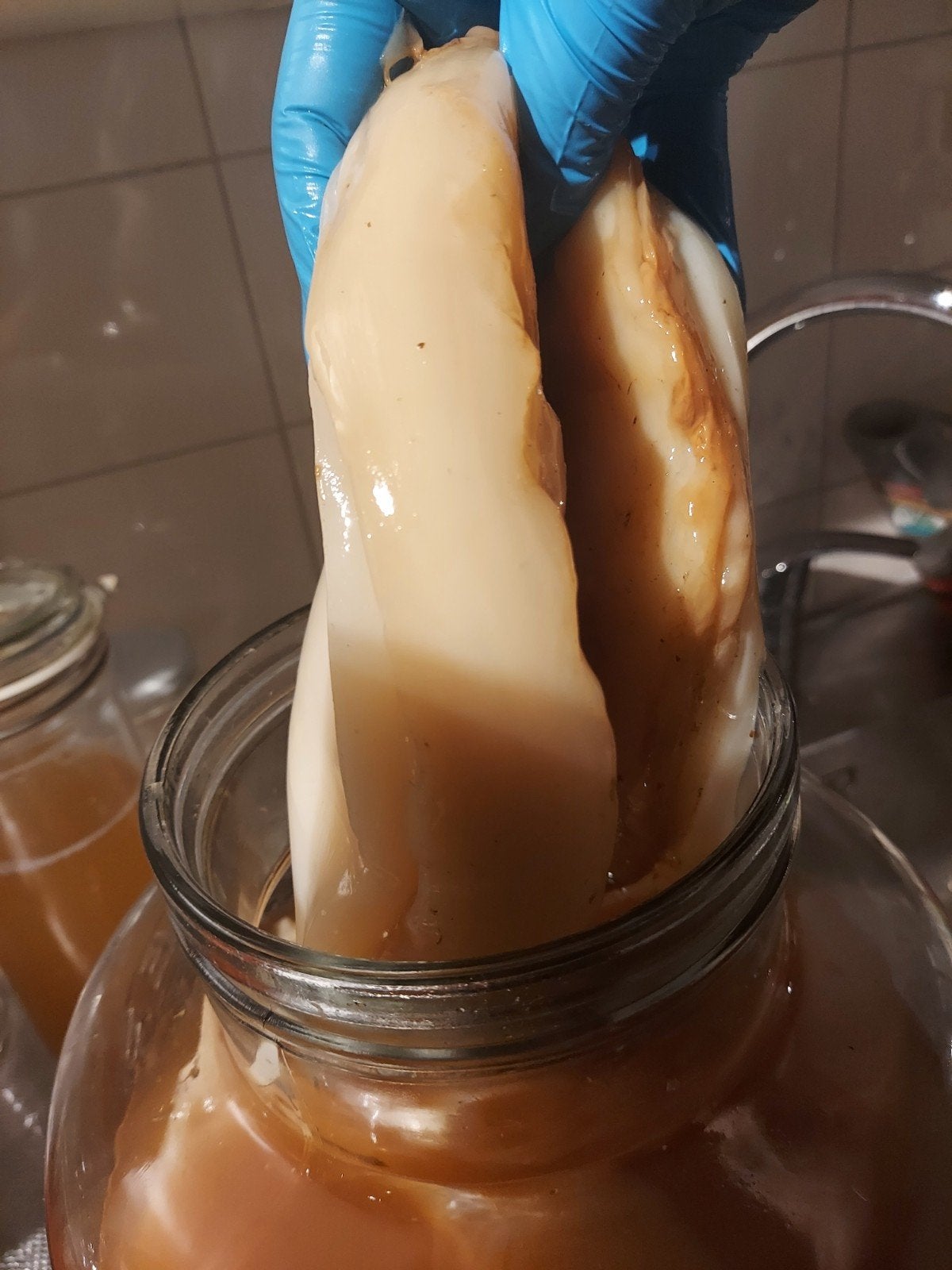 kombucha scoby en kombucha per liter., Ophalen of Verzenden