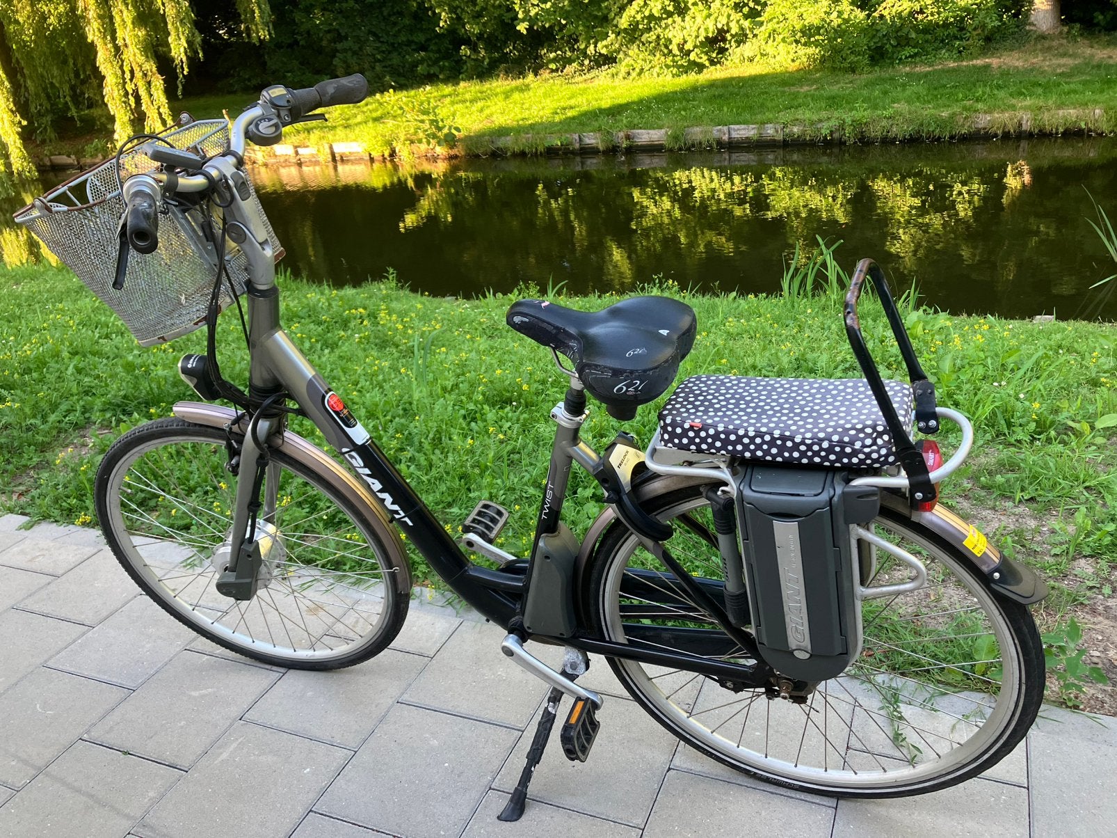 Giant E - Bike, 47 tot 51 cm, Ophalen, Gebruikt, Giant