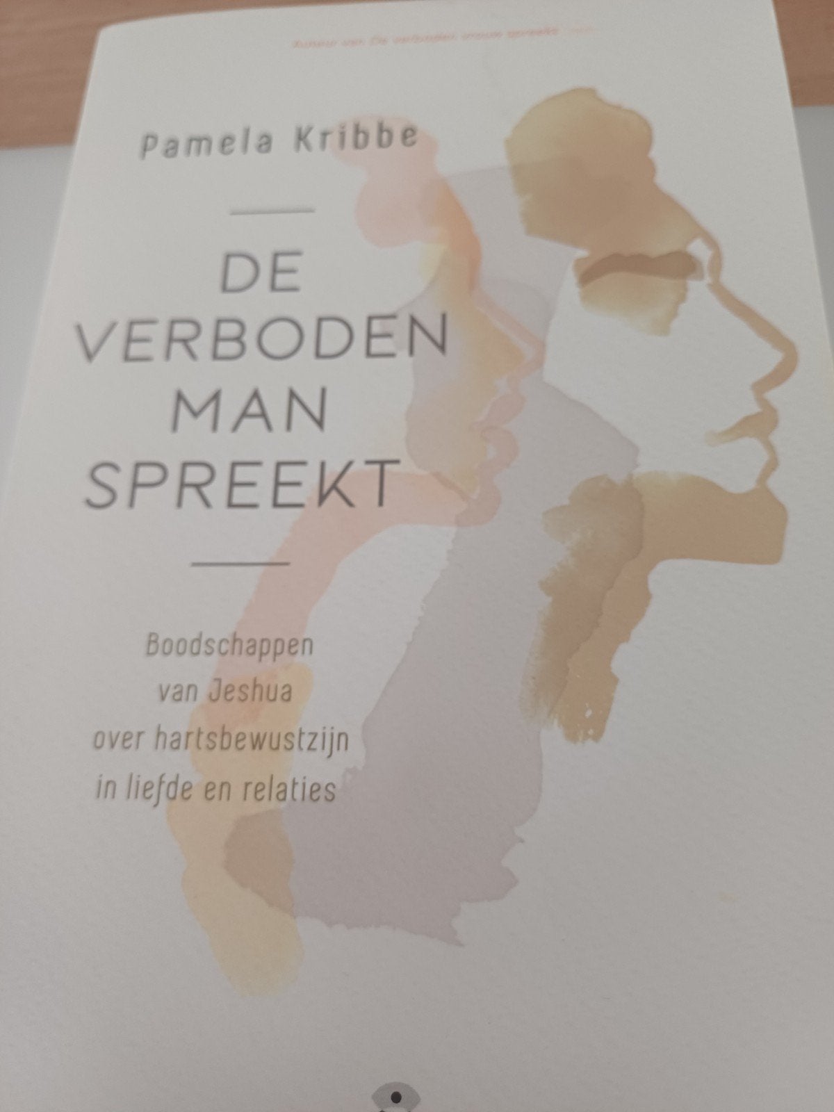 de verboden man spreekt pamella kribbe, Ophalen of Verzenden, Zo goed als nieuw