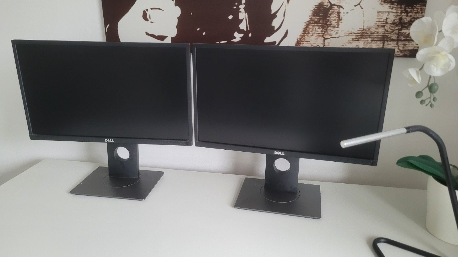 2x Dell Professional P2217H 21.5-inch IPS Monitor, Computers en Software, Monitoren, IPS, Full HD, Ophalen of Verzenden, Zo goed als nieuw