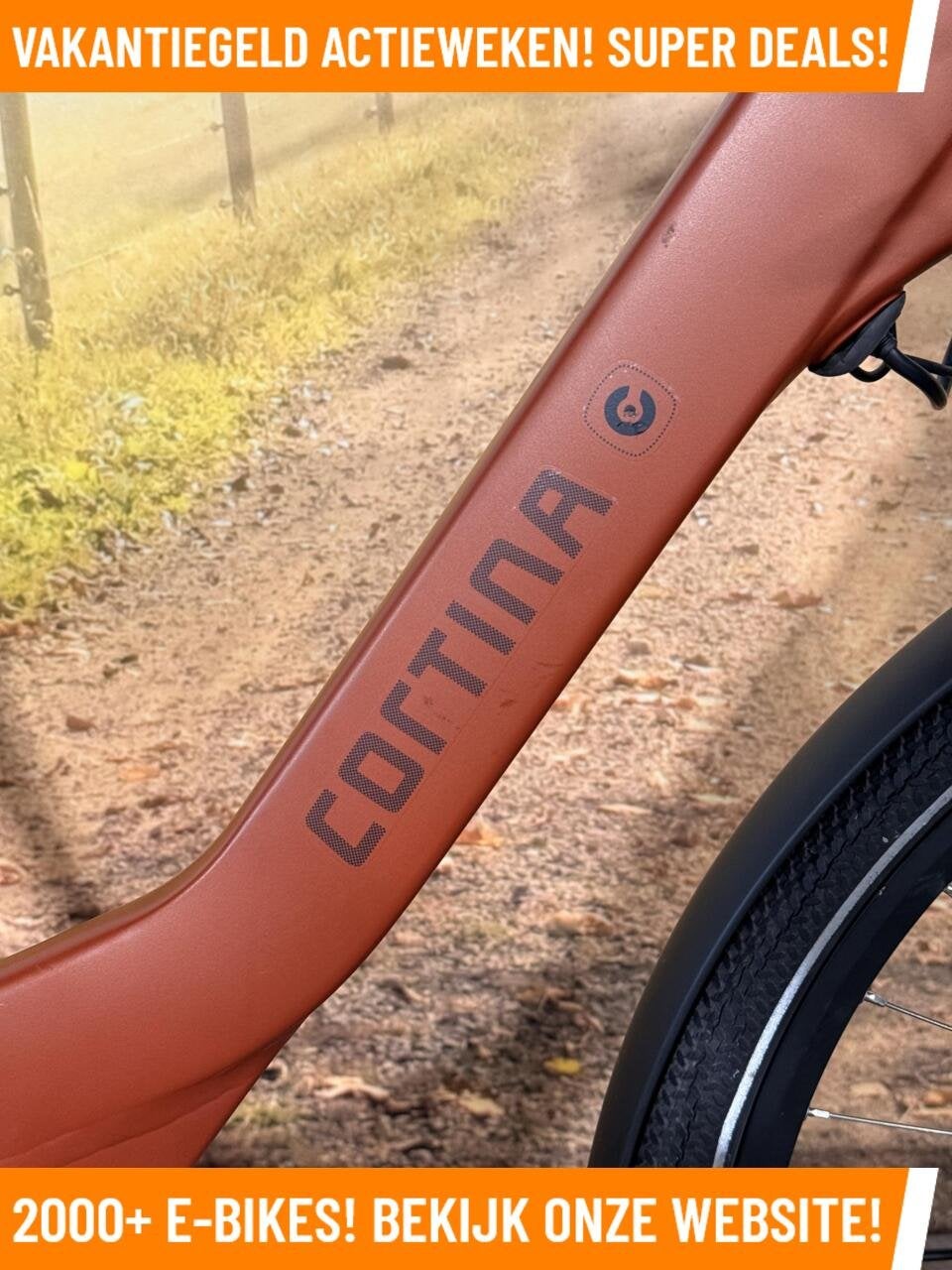 Cortina Common Elektrische fiets met voorwiel motor ebikes!, 55 tot 59 cm, Cortina