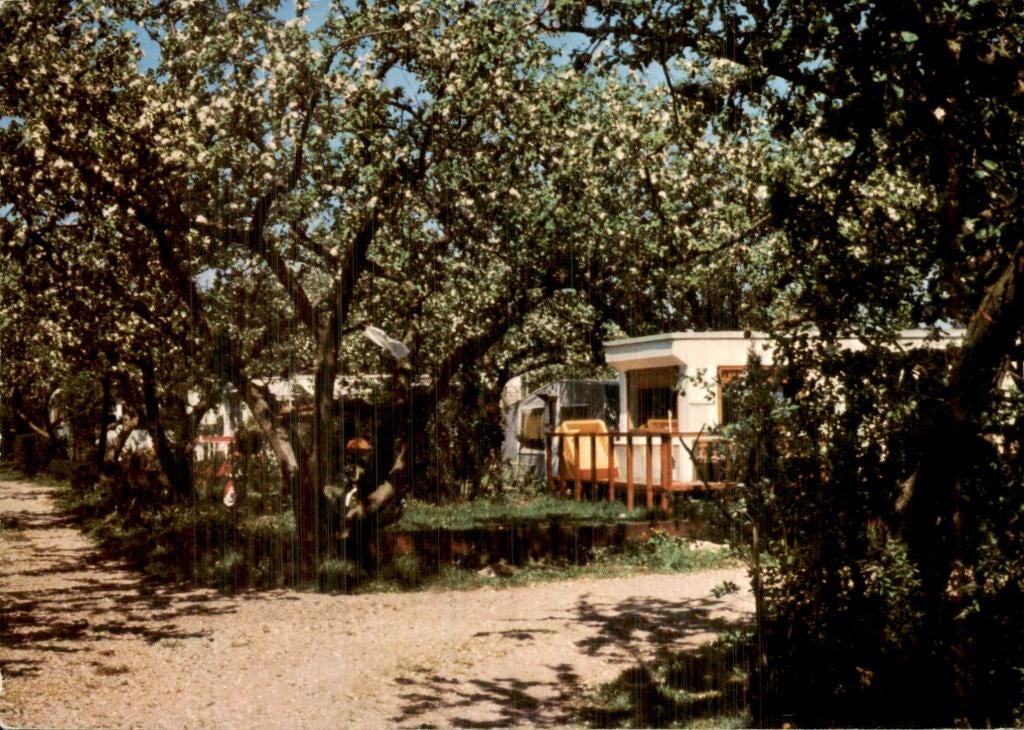 Bergambacht - Camping - De Nes, Ophalen of Verzenden, 1960 tot 1980, Ongelopen, Zuid-Holland